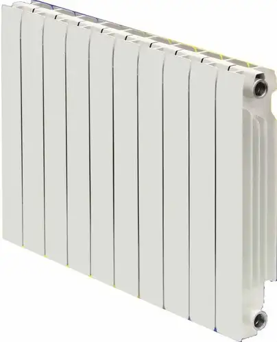 Ferroli EUROPA C 450 Radiator - 10 sections with reference 740043010 from the brand FERROLI