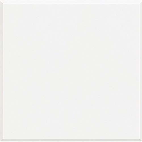 Plaque aveugle 2 modules blanc Axolute avec la référence HD4951 de la marque BTICINO