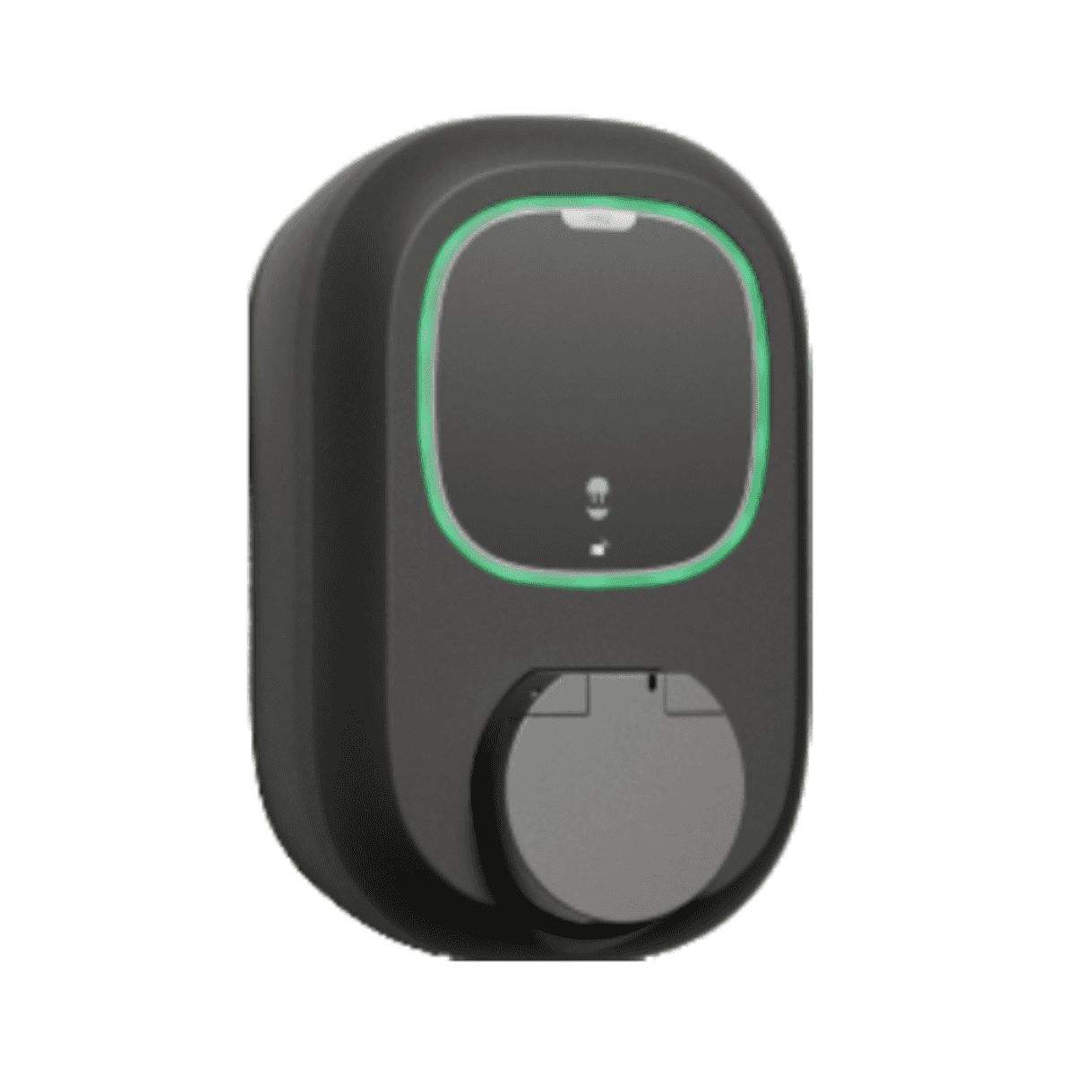 Chargeur voiture électrique avec wifi noir Wallbox Pulsar Pro Prise 7,4 kW avec la référence PPR2-W-2-2-K-002 de la marque WALLBOX