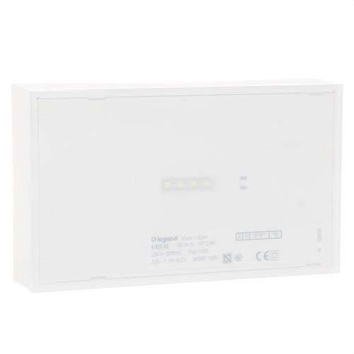 Lampe de secours URANEXT 100 lumens 1H avec la référence 660022 de la marque LEGRAND
