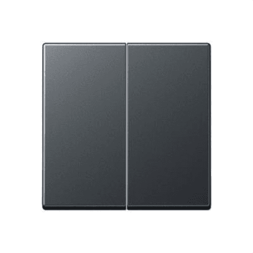 Double touche pour interrupteur poussoir double Jung Série A anthracite mat avec la référence A595BFANM de la marque JUNG