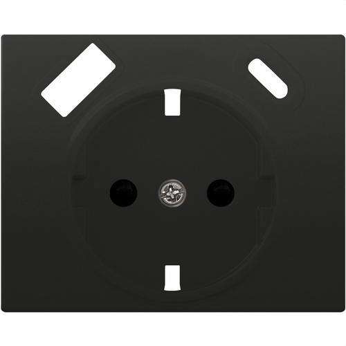 Plaque de base de prise Schuko avec double USB anthracite cosso Mega avec la référence 22724-USBC-AC de la marque BJC