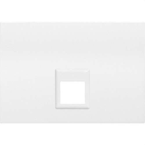 Plaque double prise RJ11 ou RJ45 blanc Coral avec la référence 21882 de la marque BJC