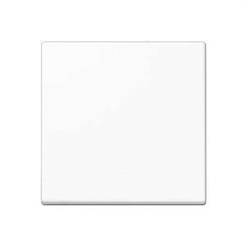 Cadre simple blanc alpin Série A avec la référence A590BFWW de la marque JUNG